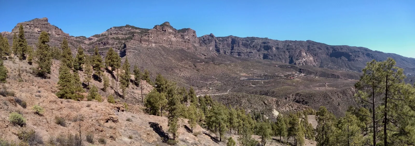 The view from the Mirador Degollada de la Cruz Grande: Canary pines in the foreground, a long wall of rock ridges behind