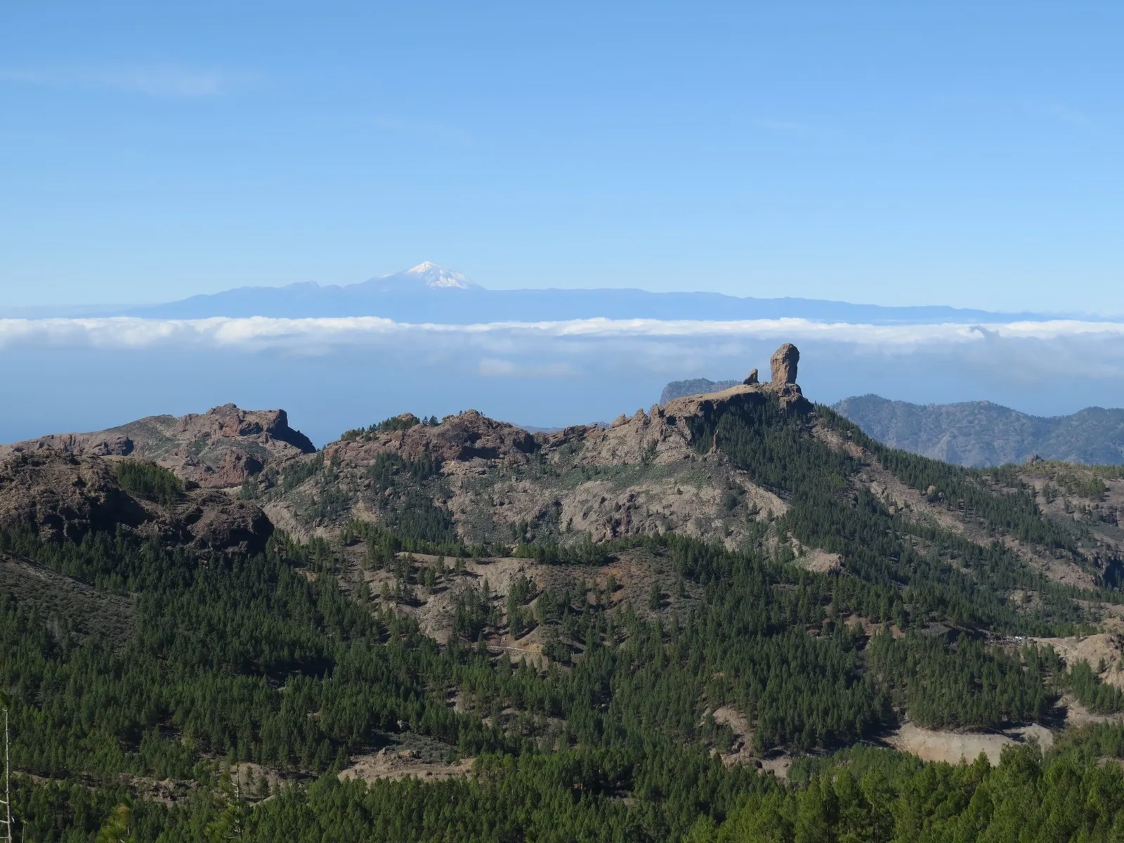 Roque Nublo standing above pine forest, with the snow-capped cone of Teide on Tenerife rising behind a closed layer of cloud