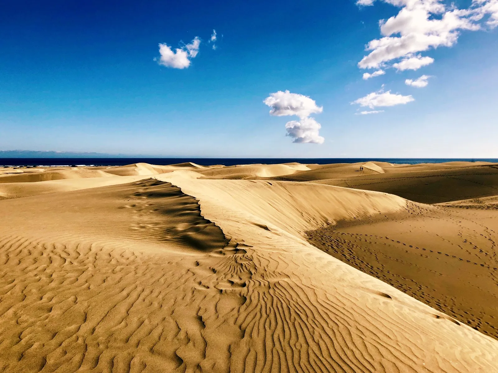 A sharp dune crest in the Maspalomas dunes running towards the sea, the sand finely rippled, under a deep blue sky with scattered clouds